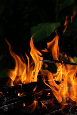 Fire