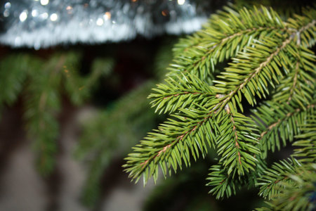 christmas tree card background