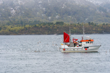 ULSTEINVIK, NORWAY - 2020 MAY 17. Small fishing vessel inside the norwegian fjord.のeditorial素材