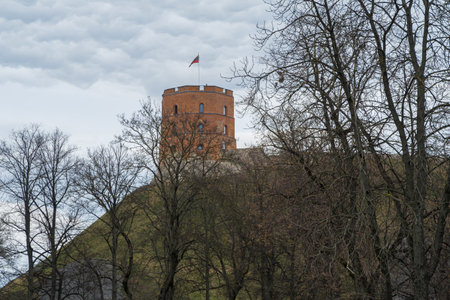 VILNIUS, LITHUANIA- 2020 MARCH 06. Gediminas Tower - the remaining part of the Upper Castle.のeditorial素材