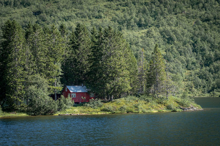 FLO, NORWAY - 2020 AUGUST 10. Smal red cottage inside the forest close to the lake.のeditorial素材