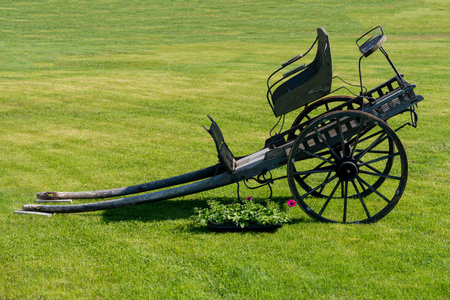 VALLDAL, NORWAY - 2020 MAY 29. Old vintage Horse-drawn carriage on the green grass.