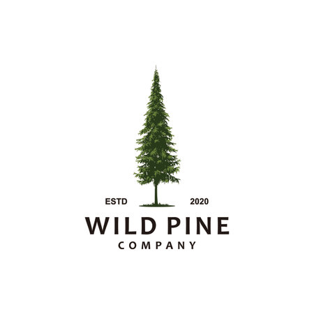 wild pine forest illustrationのイラスト素材
