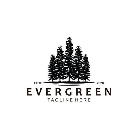 Evergreen icon design inspirationのイラスト素材