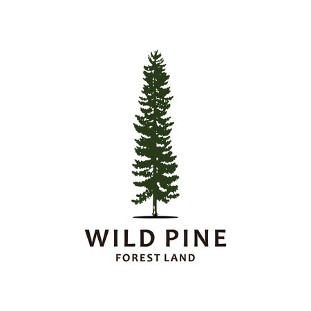 Hand drawn inspirational label with pine treesのイラスト素材