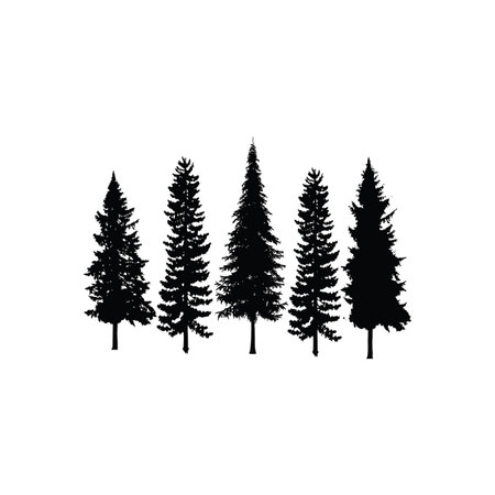 Set Collection Conifer Cedar Coniferous Cypress Pine Evergreen Fir Hemlock Spruce Larch Pinus tree forest illustration Logo designのイラスト素材