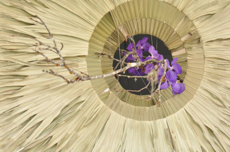 äºé¶ä¸ä¸å¹´é¦æ¸¯è±åå±è¦½の写真素材