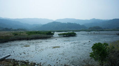 Mud in Sha Tau Kok