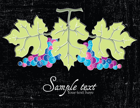 Grapes bunch  Vectorのイラスト素材