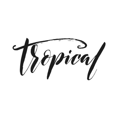 Hand drawn word. Brush pen lettering with phrase tropical.のイラスト素材