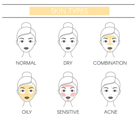 Basic skin types normal, dry, combination, oily, sensitive and acne. Vector elements on a white backgroundのイラスト素材