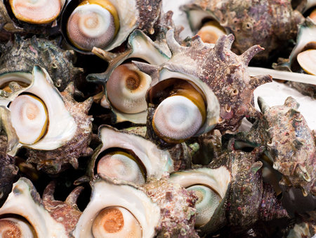Shellfish at the Fish Market in Tokyo.