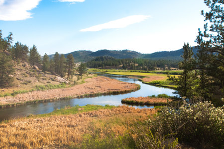 Mountain River.の写真素材