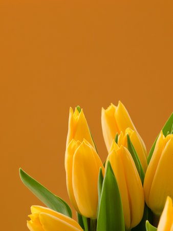 Springflowers in bouquet with color background.の写真素材
