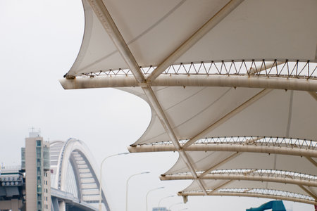 Contemporary canopy of elevated pedestrian walkway at the EXPO 2010 Shanghai, China.のeditorial素材