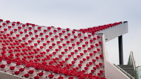 Exterior detail of the Venezuela Pavilion at the EXPO 2010 Shanghai, China.のeditorial素材