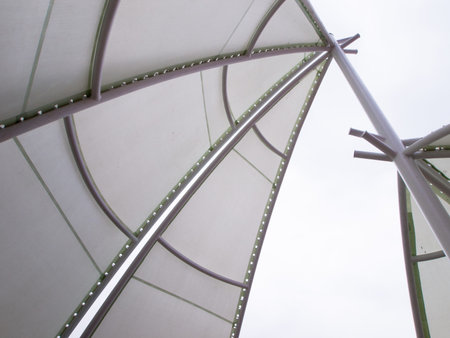 Canopies at the EXPO 2010 Shanghai, China.