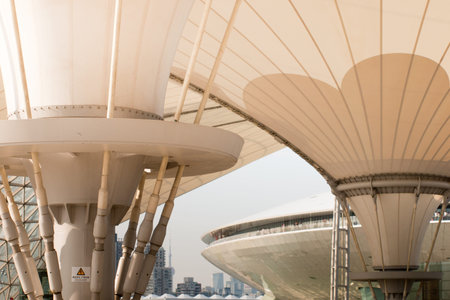Exterior of the  Expo Axis at the EXPO 2010 Shanghai, China.