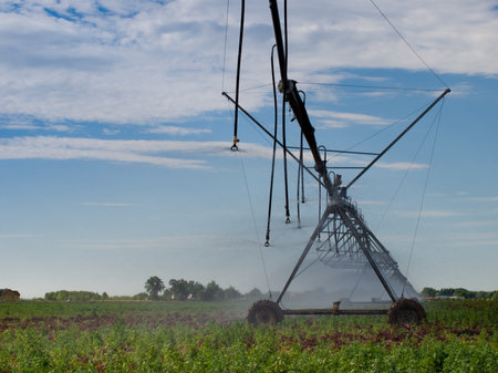 Circular irrigation system on the farm field.のeditorial素材