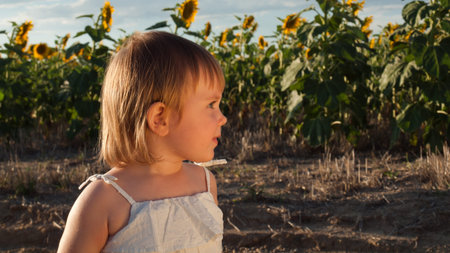 Little girl playing in sunflower field.の写真素材