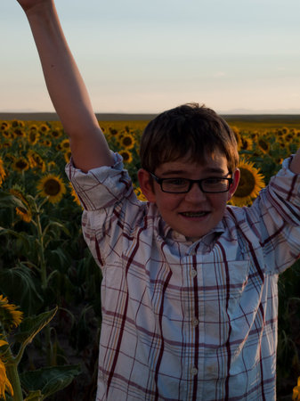 Boy in plaid shirt and glasses at sunflower field.の写真素材
