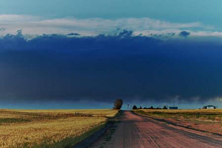Field under sunset light in Colorado.のeditorial素材