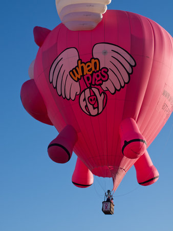Hot air balloons in a field during a festival in Loveland, Colorado.のeditorial素材