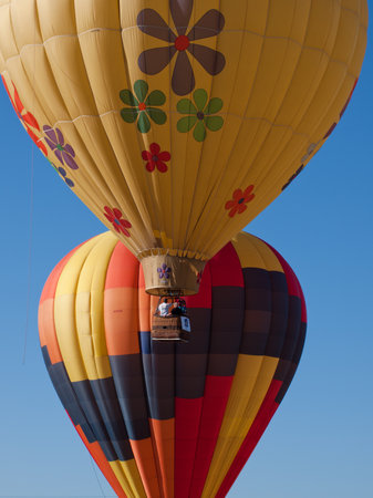 Hot air balloons in a field during a festival in Loveland, Colorado.のeditorial素材