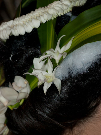 Wild floral arrangements at the White Roses for the Bride, Red Begonias for the Dictator
With a Floral Fashion Show by Arthur Williams, Babylon Floral Design in Denver Botanical Gardens 2011.のeditorial素材