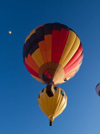 Hot air balloons in a field during a festival in Loveland, Colorado.のeditorial素材