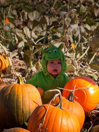 Toddler dressed up in cute costumes at the pumpkin patch.