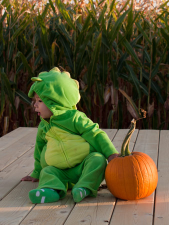 Toddler dressed up in cute costumes at the pumpkin patch.のeditorial素材