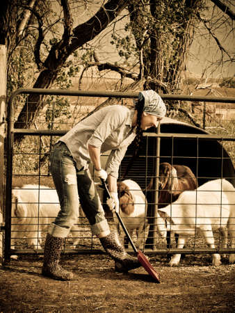 Female farmer on the ranch.の写真素材