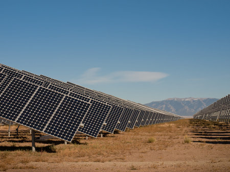 A series of large solar panels forms a symmetrical line at a power plant in the San Luis Valley of...