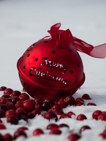 Christmas ornament in the snow  cranberries.の写真素材
