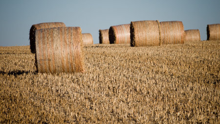 Haystack on the farm at sunset.
