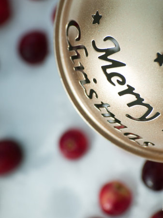 Christmas ornament in the snow with cranberries.