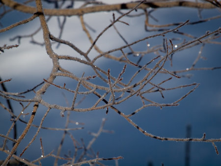 Winter in San Juan Mointains, Colorado.
