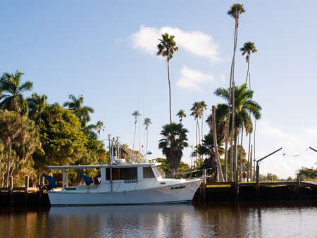 A view of Everglades from the water.のeditorial素材