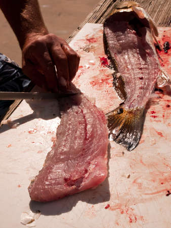 Fisherman cleaning his fresh catch of the day.のeditorial素材