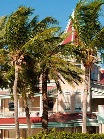 Duval Street on Key West, Florida.のeditorial素材