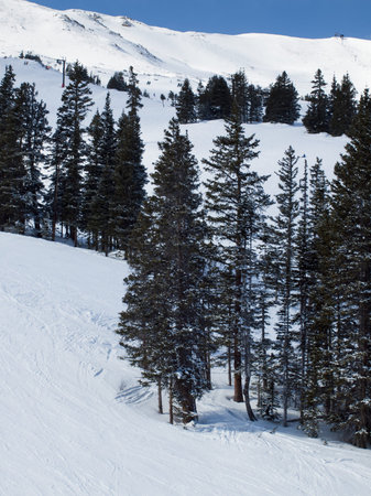 Skiing at Loveland Basin, Colorado.の写真素材