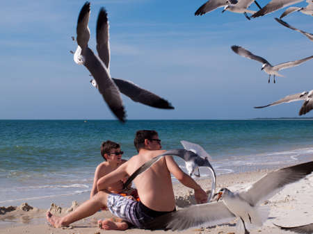 Brothers playing in sand on the Mexico Beach, Florida.の写真素材