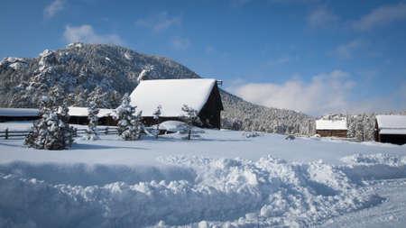 Old barn after snow storm in Evergreen, Colorado.のeditorial素材