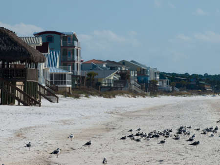 Beach houses at Mexico Beach, Florida.のeditorial素材