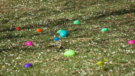 Easter egg hunt in urban park.