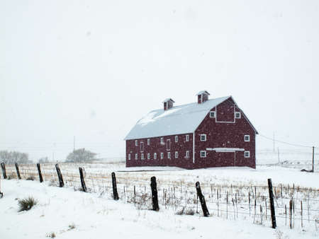 Red barn in snow storm in Colorado.のeditorial素材