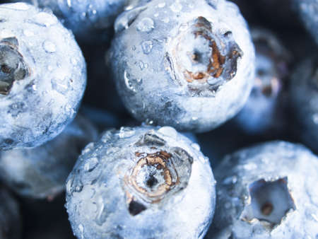 Fresh bluberries from local market on white background. Blueberries contain anthocyanins,  and various phytochemicals, which possibly have a role in reducing risks of some diseases.の写真素材