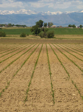 2012 Erie Town Fair and Balloon Festival. The balloon event is part of a day long street fair in the town of Erie.のeditorial素材