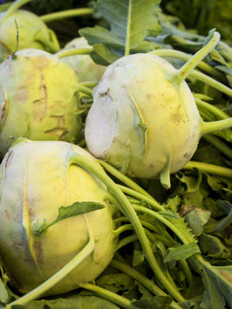 Fresh organic food at the local farmers market. Farmers markets are a traditional way of selling agricultural products.の写真素材